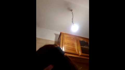 _arabica_ @ stripchat on 20241015