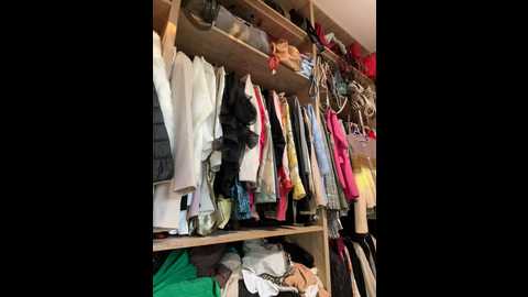 didihairypussy @ stripchat on 20241015