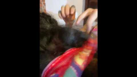 g_poseidon_y_cloe @ stripchat on 20241015