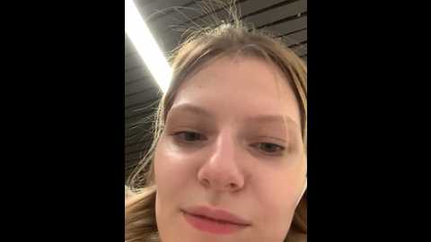 maryhiggins @ stripchat on 20241015