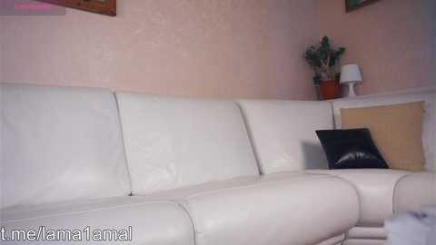 plavierath @ stripchat on 20241015