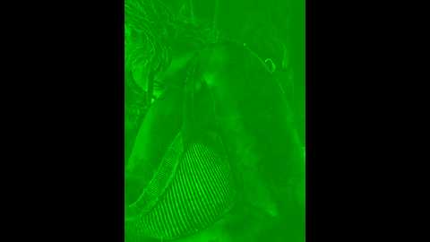 sailormoonplips @ stripchat on 20241015