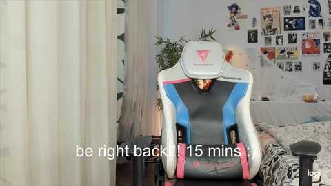 viv_player @ stripchat on 20241015