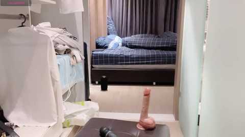 fengshao_garden77 @ stripchat on 20241016