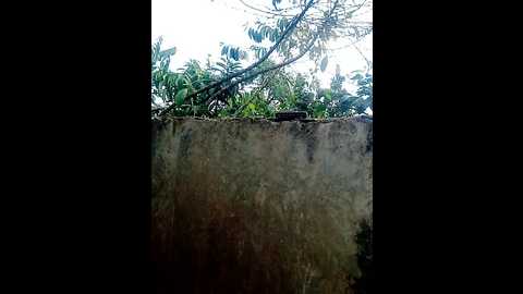 holygrail001 @ stripchat on 20241016