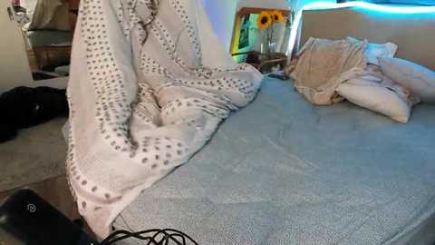 lexifeverr @ stripchat on 20241016