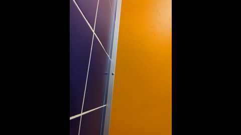 morphine_666 @ stripchat on 20241016