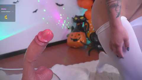 nicdani_1 @ stripchat on 20241016