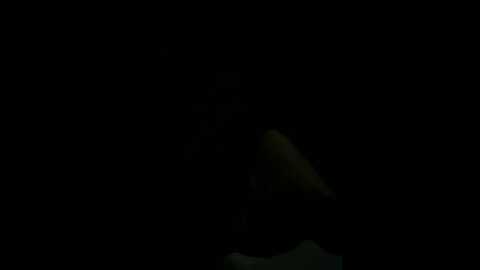 oo_kaixin_oo @ stripchat on 20241016