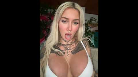 stella_kink @ stripchat on 20241016