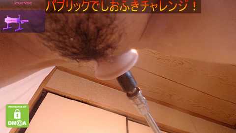 __mimi__love__ @ stripchat on 20241017