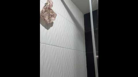 brendacrean @ stripchat on 20241017