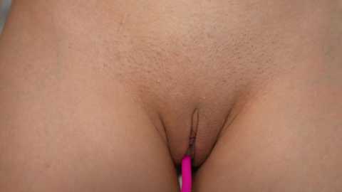 doviaclaire @ stripchat on 20241017