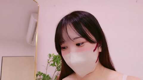 hono_cha @ stripchat on 20241017