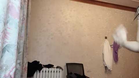 jiajia163 @ stripchat on 20241017