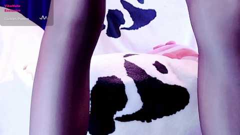 jooojo_ @ stripchat on 20241017