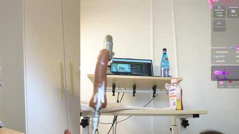 miss69ri99 @ stripchat on 20241017