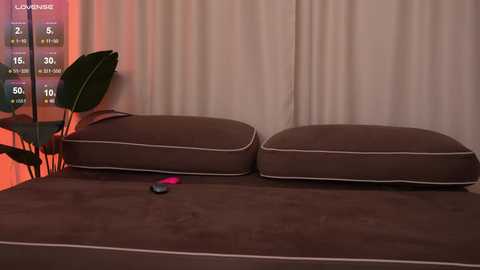 missjuliya @ stripchat on 20241017