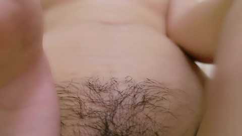 ria_pipi @ stripchat on 20241017