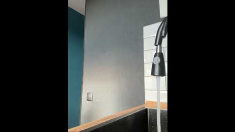 sssativa_model @ stripchat on 20241017