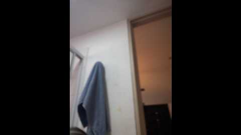 valerygrey @ stripchat on 20241017