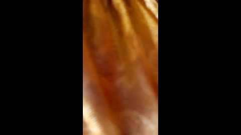 anupama_jhoshi @ stripchat on 20241018