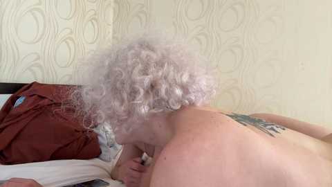 _2in1_ @ stripchat on 20241019