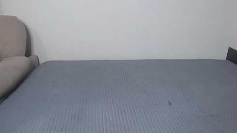 aurorandy @ stripchat on 20241019