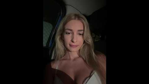 evieevans @ stripchat on 20241019