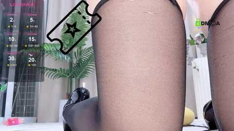 happy_kitty @ stripchat on 20241019