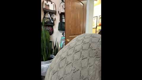 ladylena1 @ stripchat on 20241019