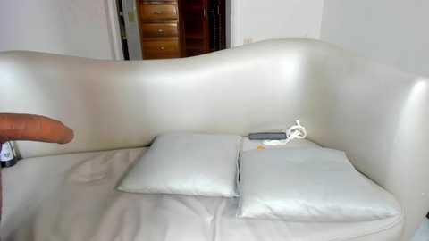 soffy_pink @ stripchat on 20241019