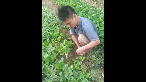 sweet_toy20 @ stripchat on 20241019