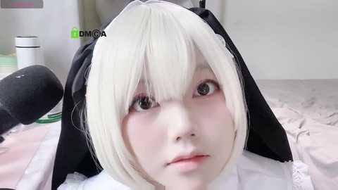 sunny__666 @ stripchat on 20241020