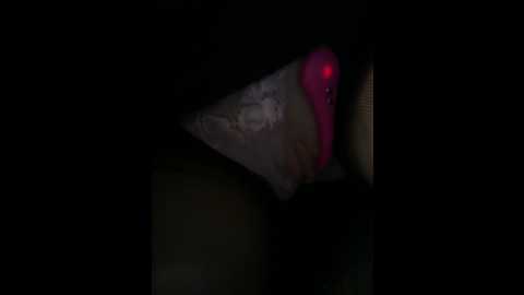 wet__bunny @ stripchat on 20241020
