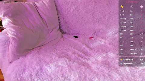 ann_sweer @ stripchat on 20241021