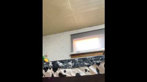 bella_100 @ stripchat on 20241021