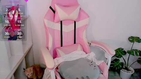 desiregirl69 @ stripchat on 20241021