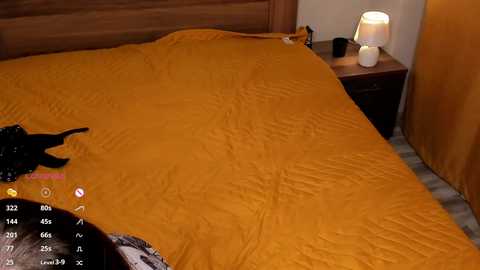 meghanelson @ stripchat on 20241021