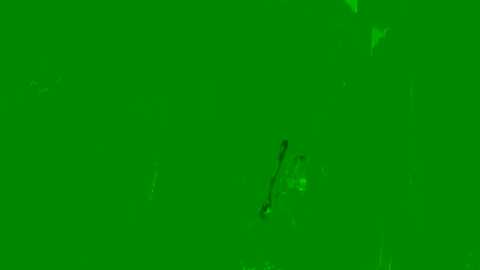 senorita78 @ stripchat on 20241021