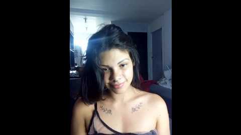 senunibag @ stripchat on 20241021