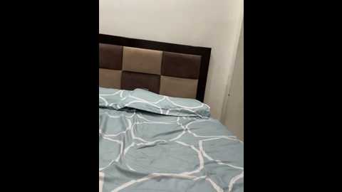 aashi66 @ stripchat on 20241022