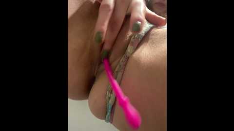 dina_tease @ stripchat on 20241022