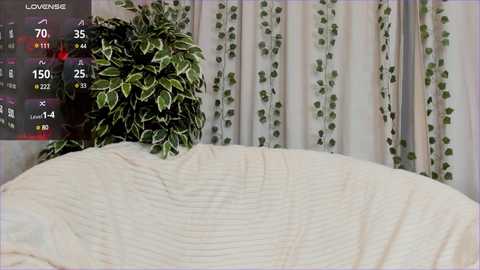 mell_milles @ stripchat on 20241022