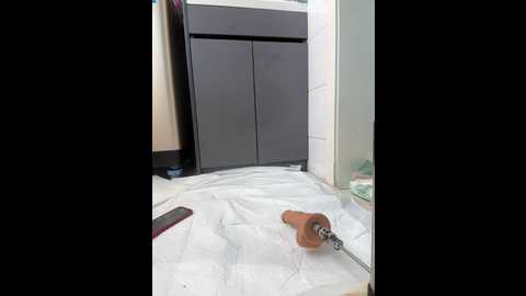 tingting66 @ stripchat on 20241022
