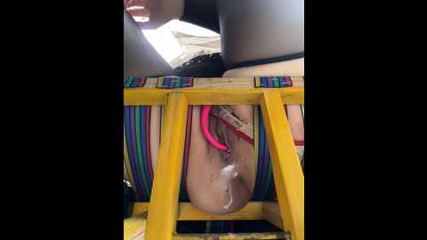 tingting66 @ stripchat on 20241022