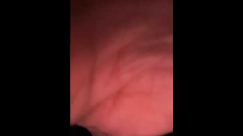 xixi_gala @ stripchat on 20241022