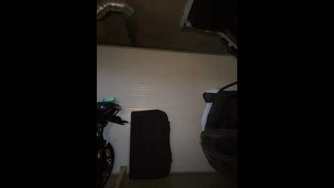 _angelari_ @ stripchat on 20241023