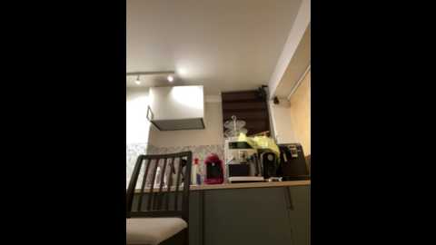 isabellaetthan @ stripchat on 20241023