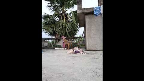 ishikarana @ stripchat on 20241023